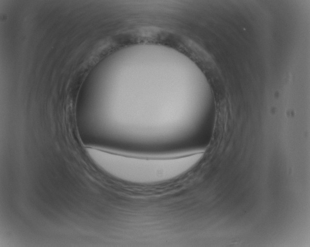 X0000081470225200701121024
