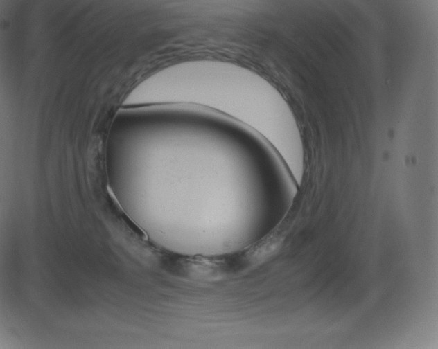 X0000081470229200701121024