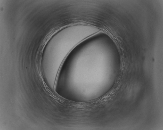 X0000081470241200701121023