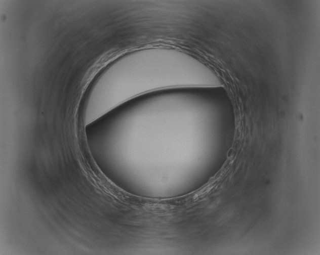 X0000081470242200701121023