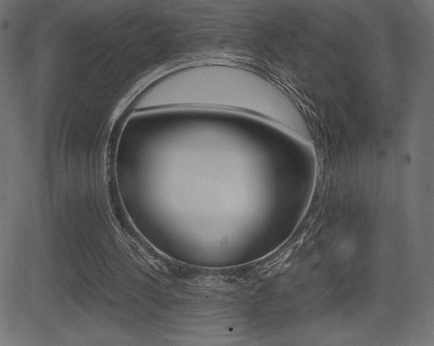 X0000081470244200701121023