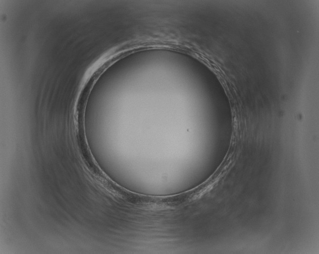 X0000081470246200701121023