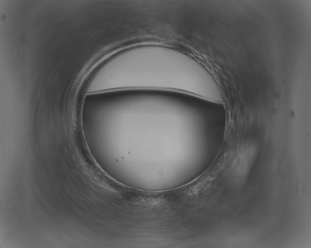 X0000081470247200701121023
