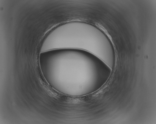 X0000081470249200701121023