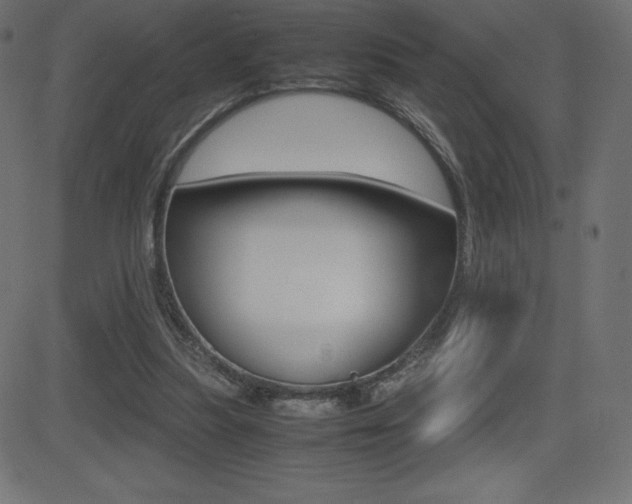 X0000081470251200701121023