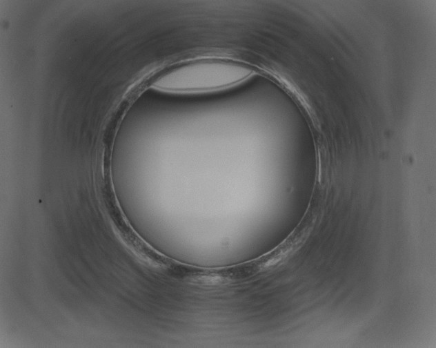 X0000081470253200701121023