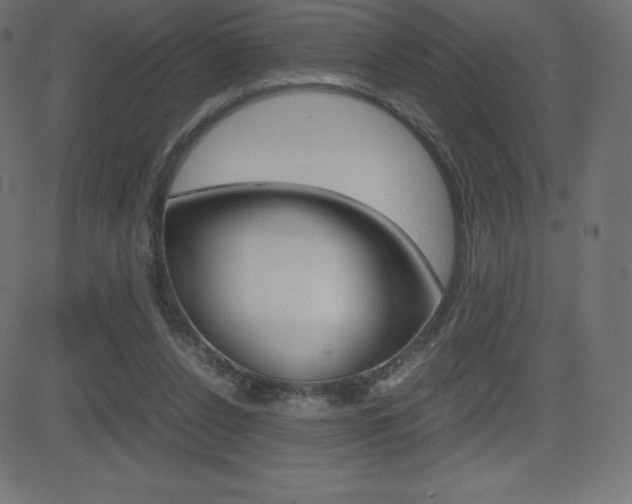 X0000081470256200701121023