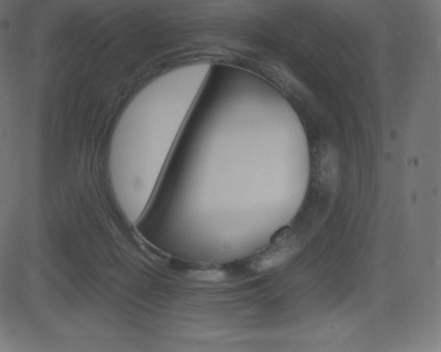 X0000081470266200701121023