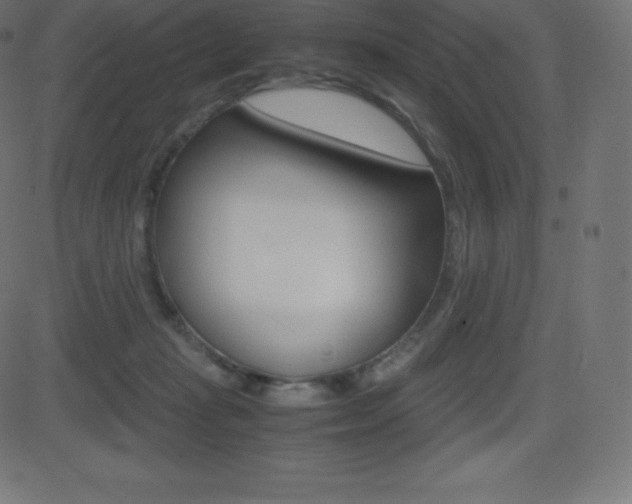 X0000081470269200701121023