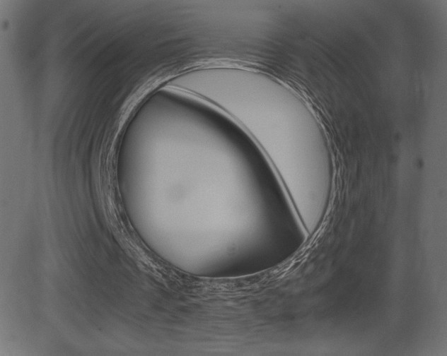 X0000081470289200701121023