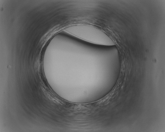X0000081470290200701121023