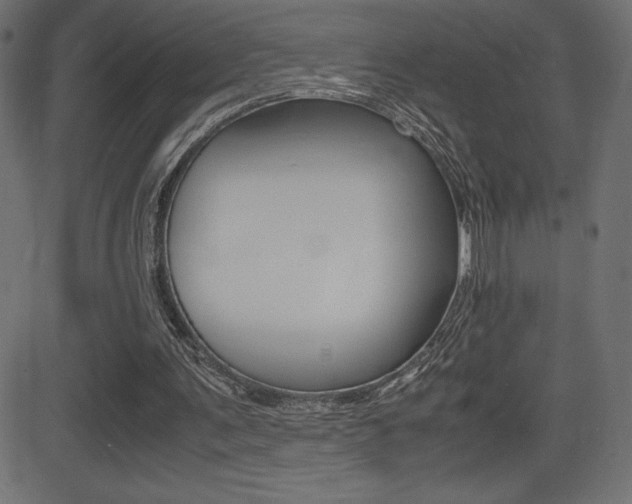 X0000081470291200701121023