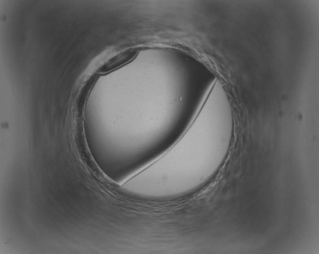 X0000081470295200701121022