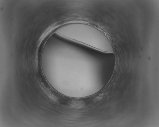 X0000081470296200701121022