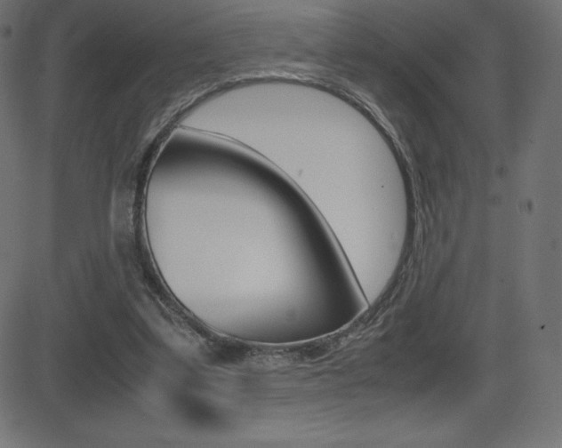 X0000081470299200701121022