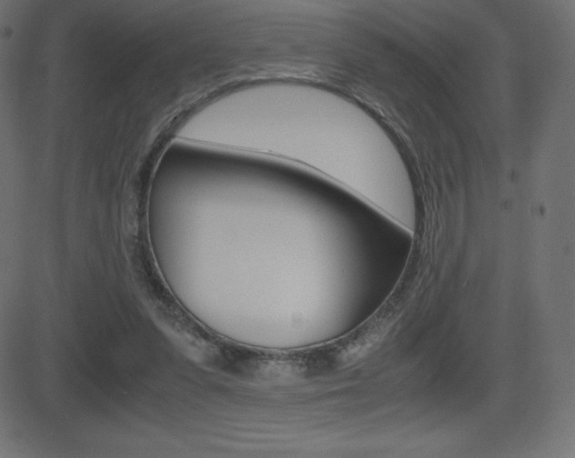 X0000081470303200701121022