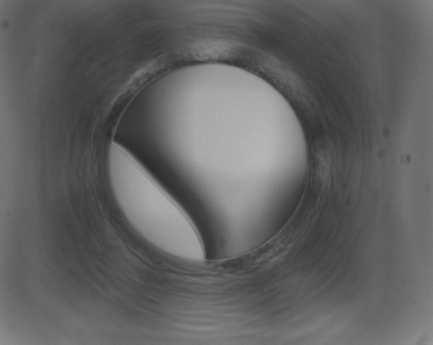 X0000081470308200701121022