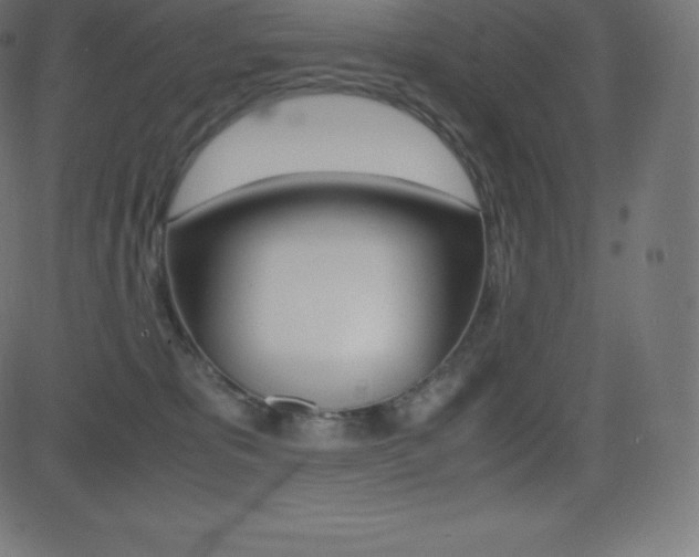 X0000081470325200701121022