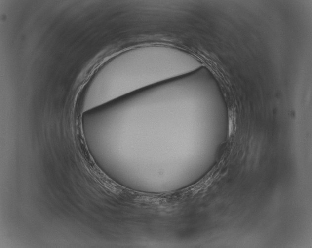 X0000081470339200701121021