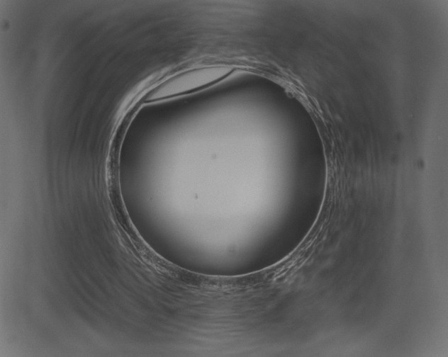 X0000081470340200701121021