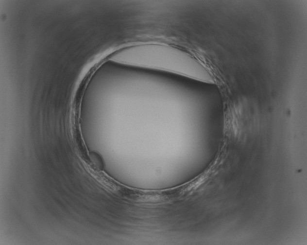 X0000081470342200701121021