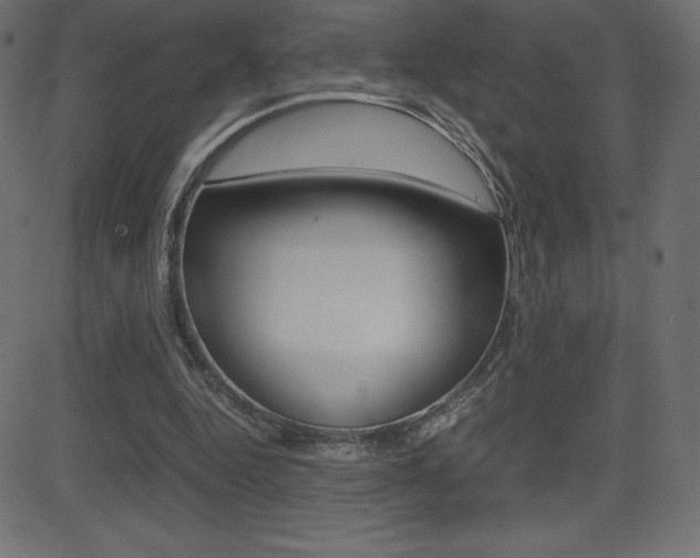 X0000081470344200701121021