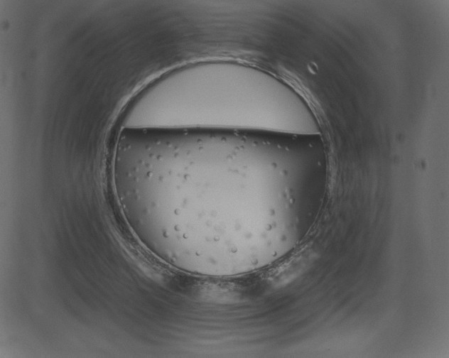 X0000081470346200701121021