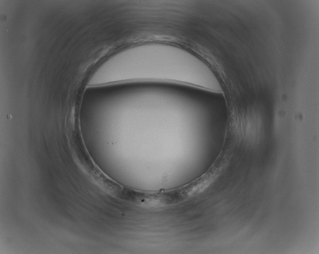 X0000081470358200701121021