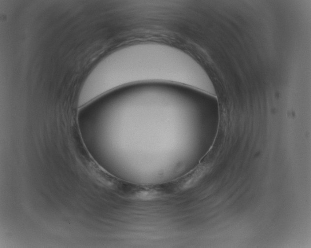 X0000081470364200701121021