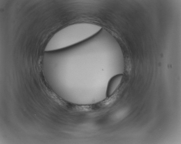 X0000081470378200701121022