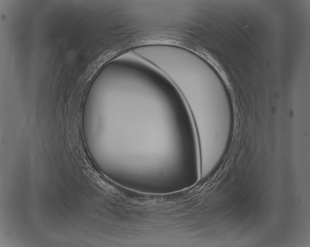 X0000081470385200701121021