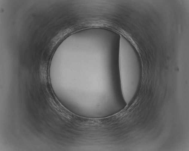 X0000081470386200701121021