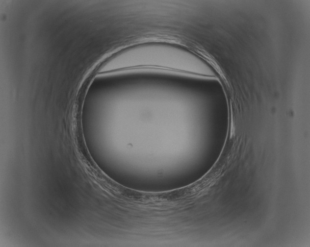 X0000081470387200701121021