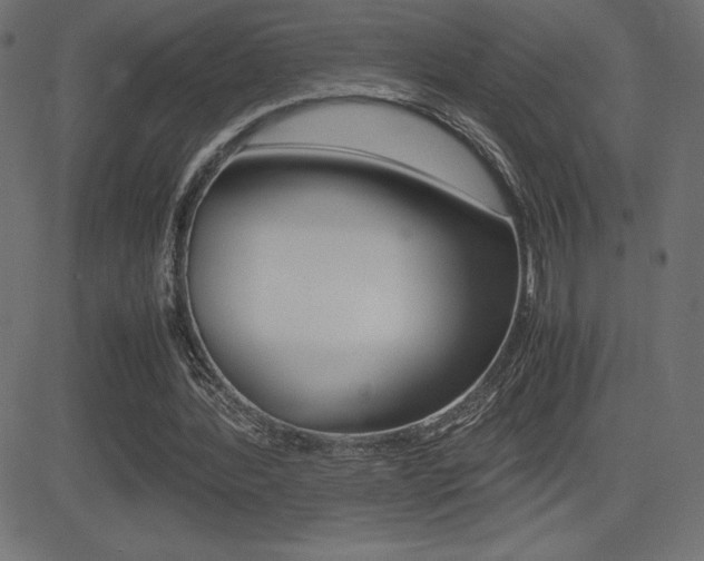 X0000081470388200701121021