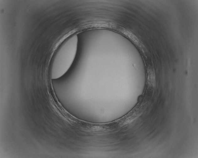 X0000081470390200701121021