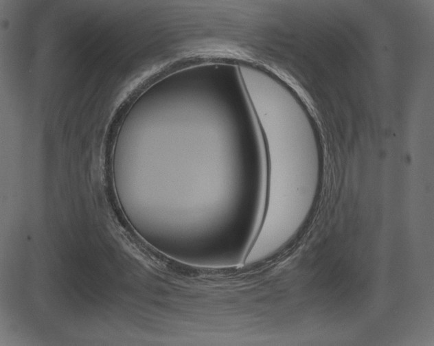 X0000081470391200701121021