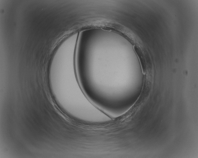 X0000081470397200701121021