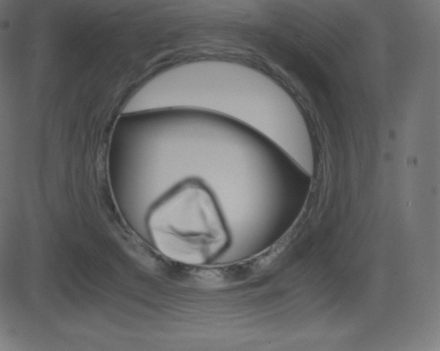 X0000081470409200701121021
