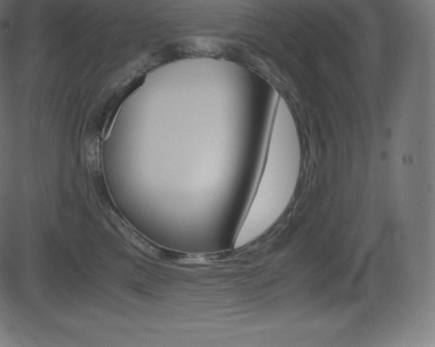 X0000081470425200701121020