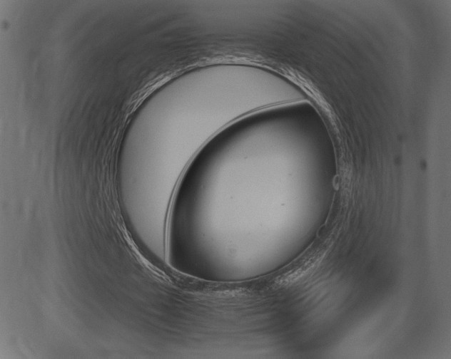 X0000081470433200701121019