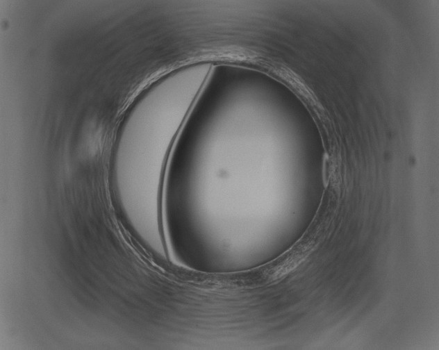X0000081470434200701121019