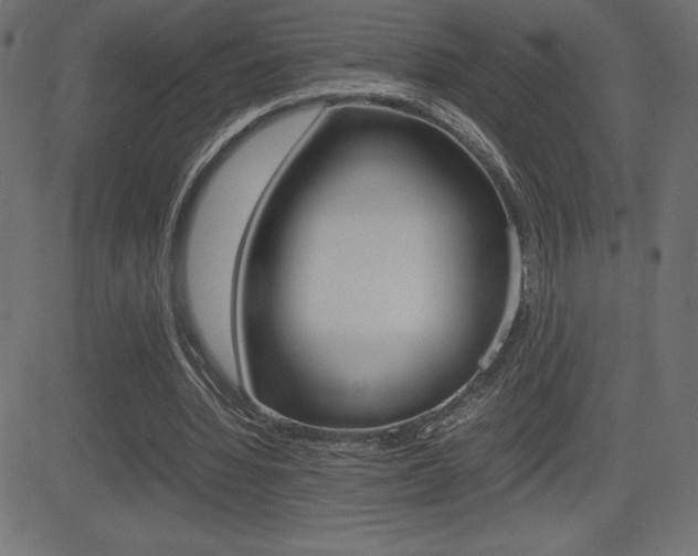 X0000081470436200701121019