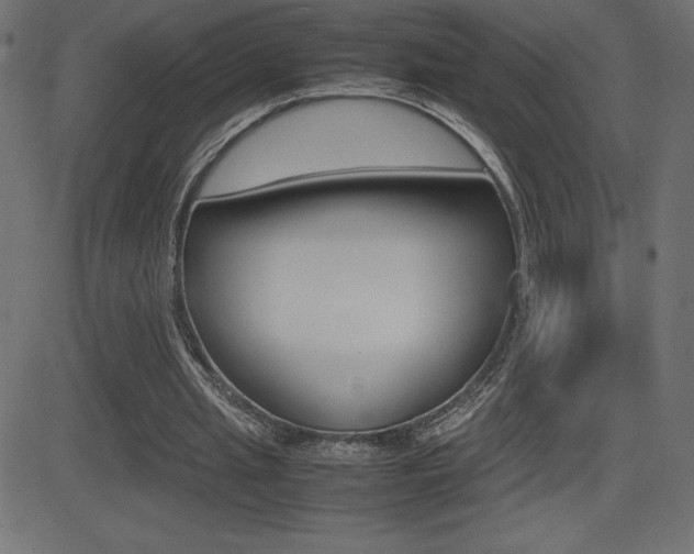 X0000081470437200701121019