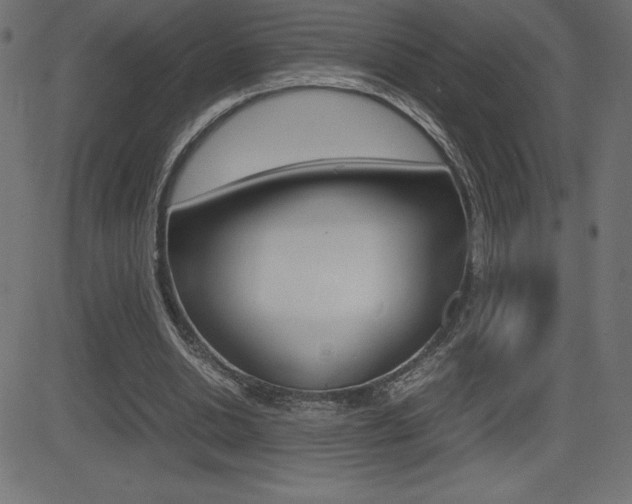 X0000081470438200701121019