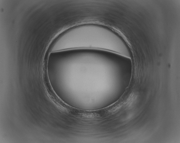 X0000081470439200701121020