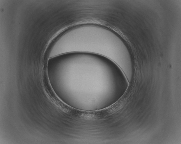X0000081470440200701121020