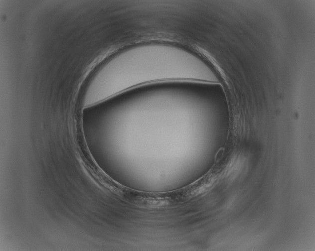 X0000081470443200701121020