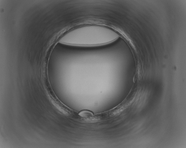 X0000081470445200701121020