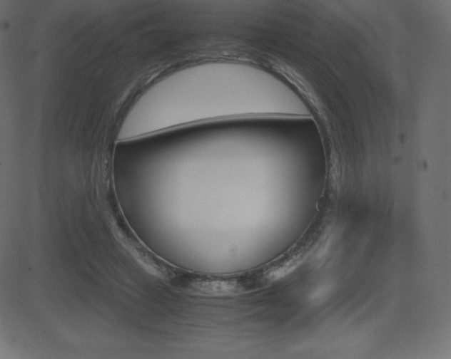 X0000081470449200701121020