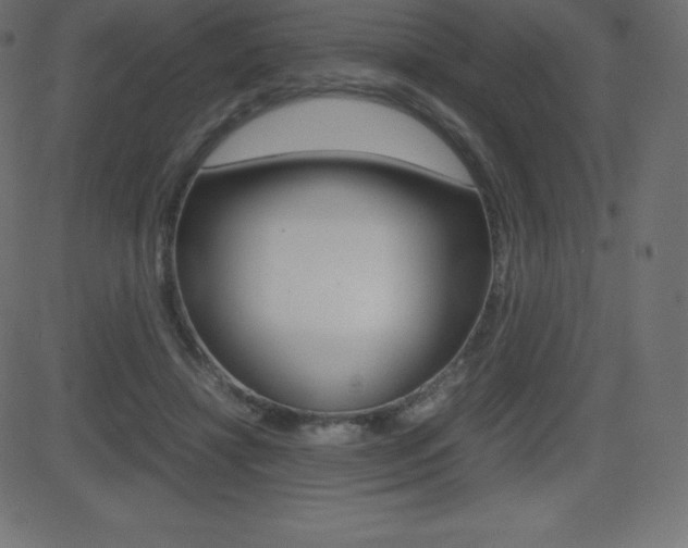 X0000081470452200701121020